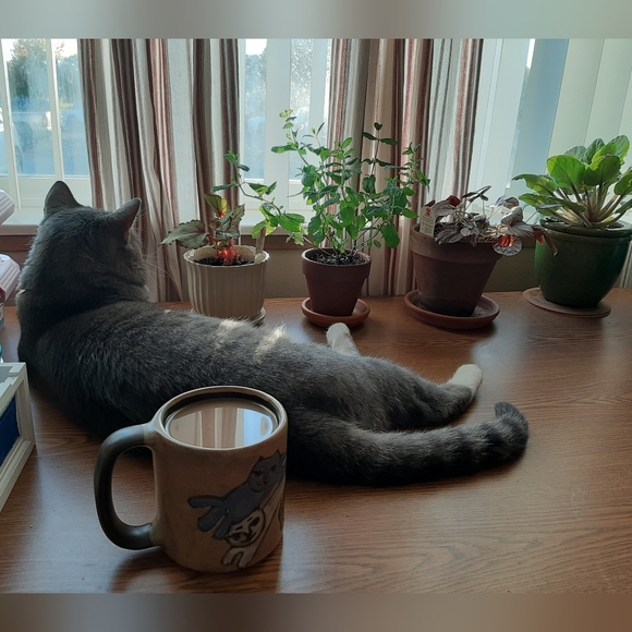 Meet your Posher - Picture 8 of 9